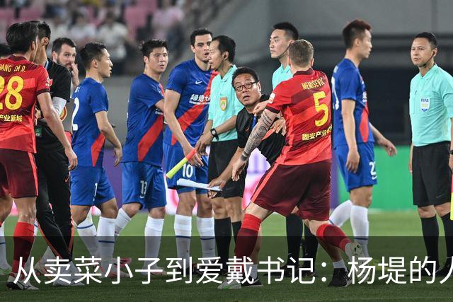 从卖菜小子到爱戴书记：杨堤的人生传奇